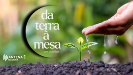 Imagem de Da Terra � Mesa