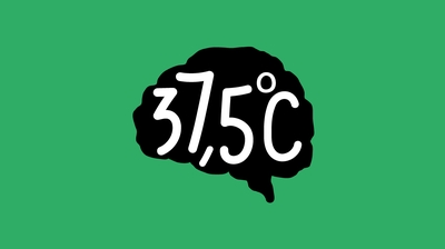 37,5 ºC