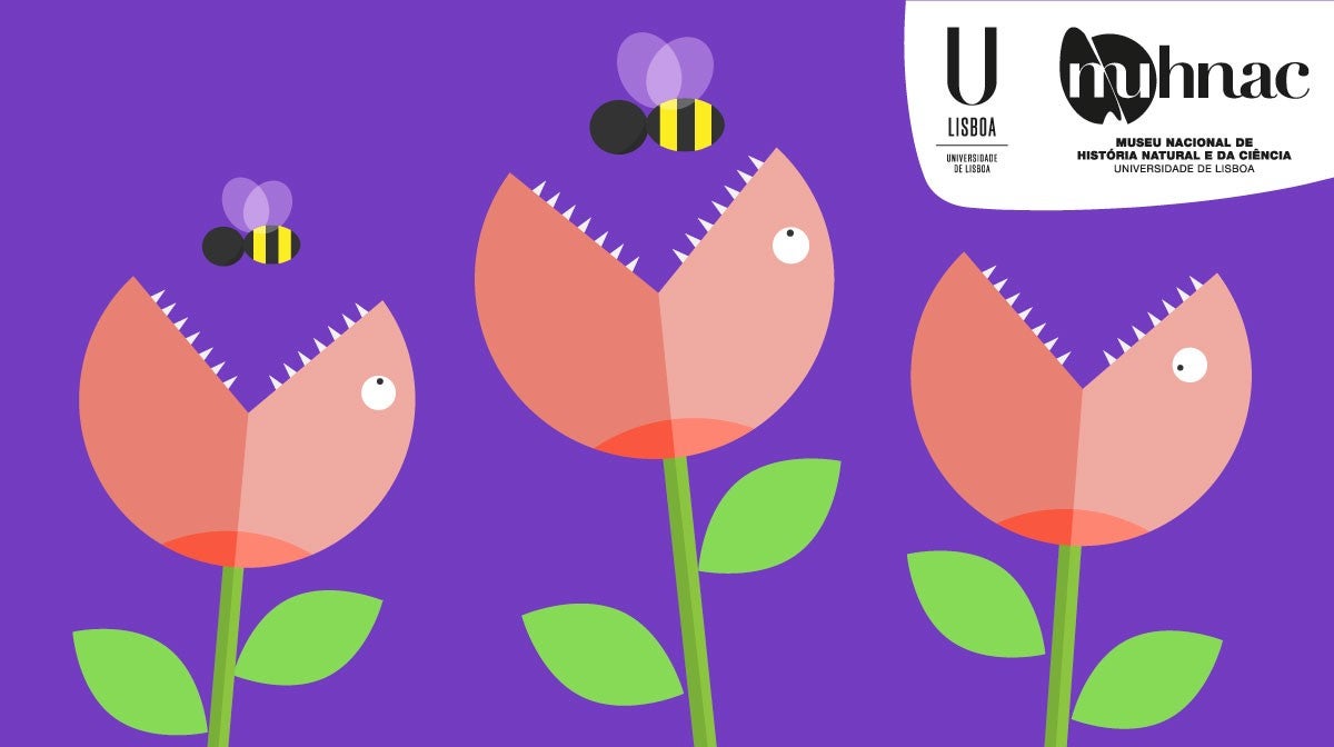 Play - Jardim Botânico