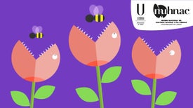 Imagem do Programa / Episiódio - Jardim Botânico