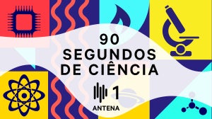 Todos os plásticos que deitamos ao mar acabam por se degradar e transformar-se em partículas que são absorvidas pelos seres vivos, prejudicando a cadeia alimentar. Nalgumas espécies, esta ingestão de plástico atinge já valores assustadores.