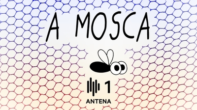 Play - A Mosca