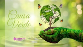 Causa Verde - Dia Mundial da Terra 22 Abril c/ a Engª Técnica: Débora Santos