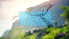 Madeira Adentro - Estrada das Ginjas