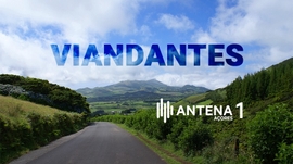 VIANDANTES