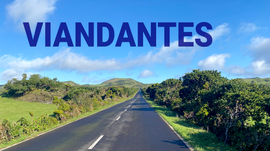 VIANDANTES