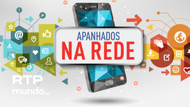 Imagem de Ana Filipa Coelho - Su��a/ Guine Conacry
