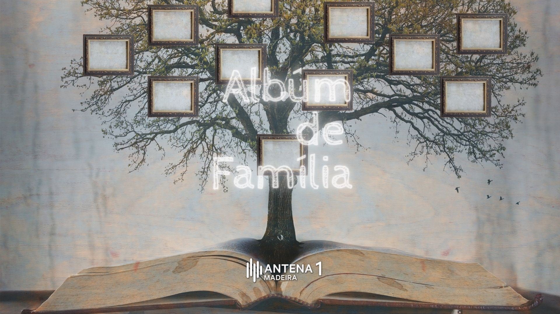 Imagem do Programa / Episiódio - Álbum de Família - Quinta Faria
