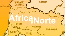 África a Norte - Tia Orlanda