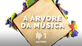 A Árvore da Música - Carlos Martins: "Vagar", o novo disco em exclusivo na Antena1