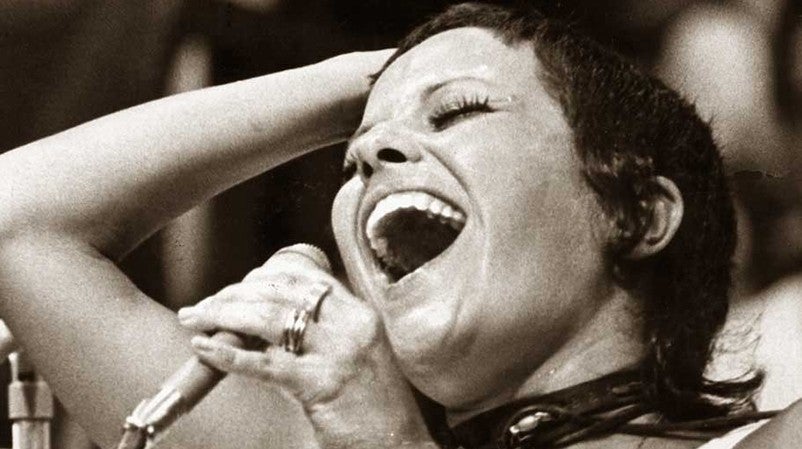 Imagem de Elis Regina - A Voz sem Fim