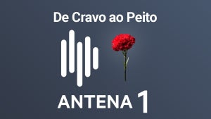 Imagem de E tudo na Guiné começou
