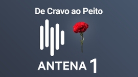 Imagem de As primeiras presidenciais