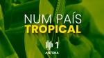 Play - Num País Tropical
