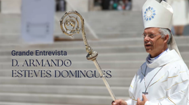 Imagem de Grande Entrevista - D. Armando Esteves Domingues