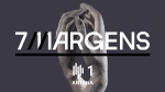 Play - 7 Margens