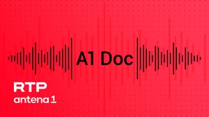 Imagem de "Os vistos de Sousa Mendes"