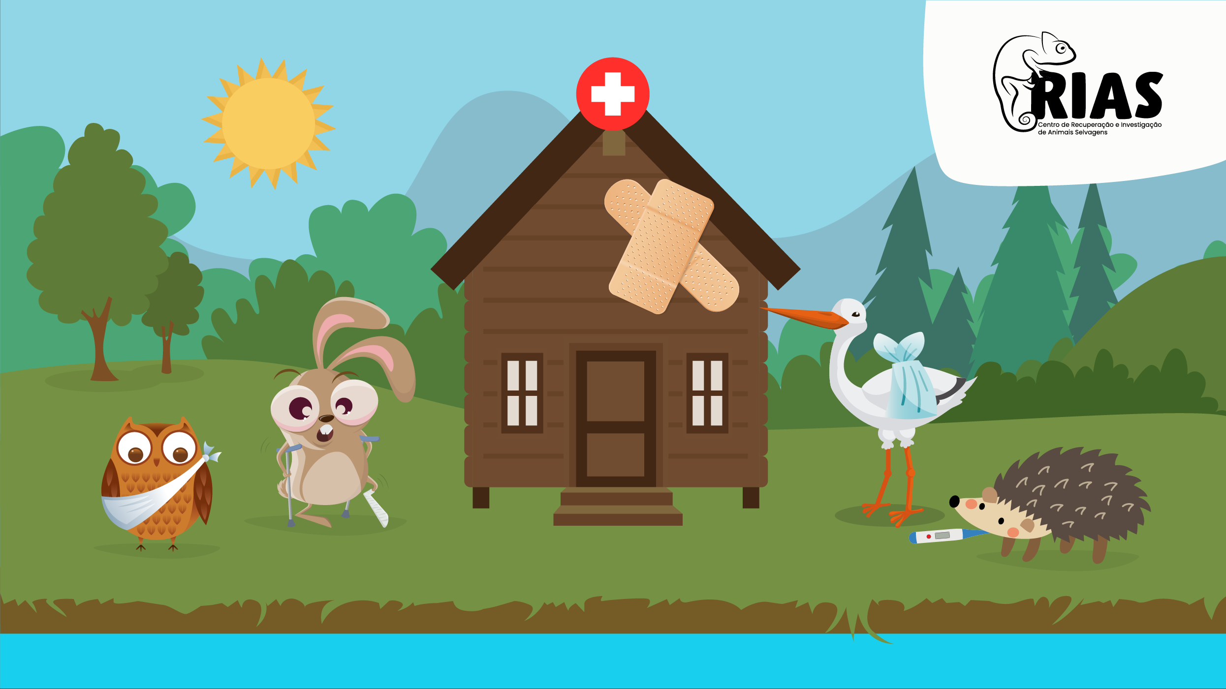 Imagem de Hospital da Bicharada - Quem atacou a águia-calçada?