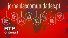 Imagem de Autarca professor de Mineola acompanha visita escolar a Portugal