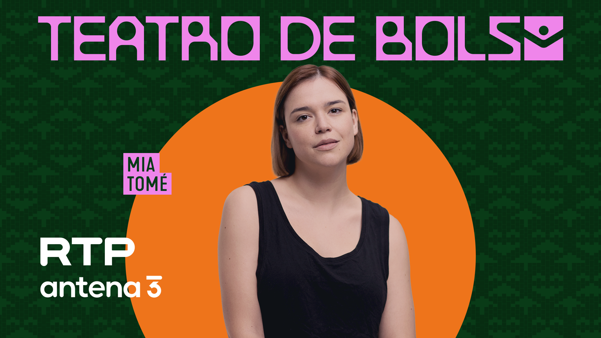 Imagem do Programa / Episiódio - Teatro de Bolso - Teatro infanto-juvenil - Luís Leal Miranda