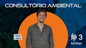 As ações individuais importam?
