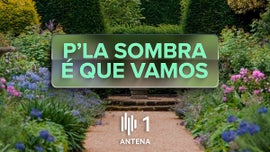 Imagem de P'la Sombra  Que Vamos