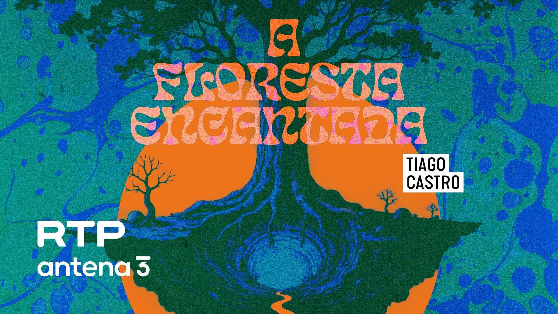 Imagem do Programa / Episiódio - A Floresta Encantada - Led Zeppelin, Beach Boys, Love, Neil Young