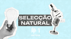 Imagem de Sexo com Neandertais?