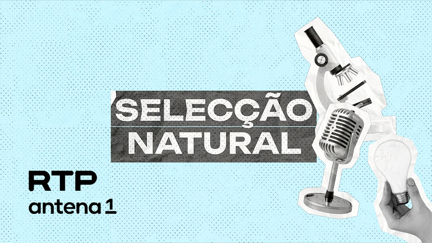 Selecção Natural Episódio 33 - de 22 mai 2026 - RTP Play
