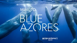 Minuto Blue Azores
