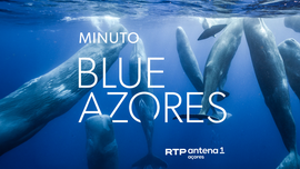 Imagem de O que � uma �rea Marinha Protegida