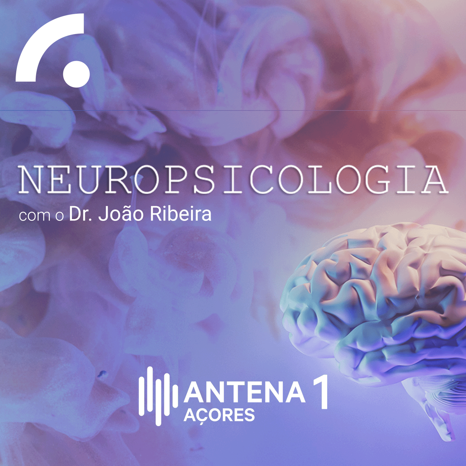 Neuropsicologia para todos