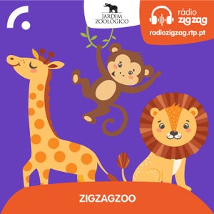 Imagem do programa - ZigZagZoo