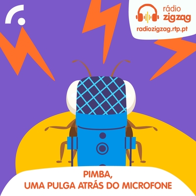 Pimba, uma pulga atrás do microfone