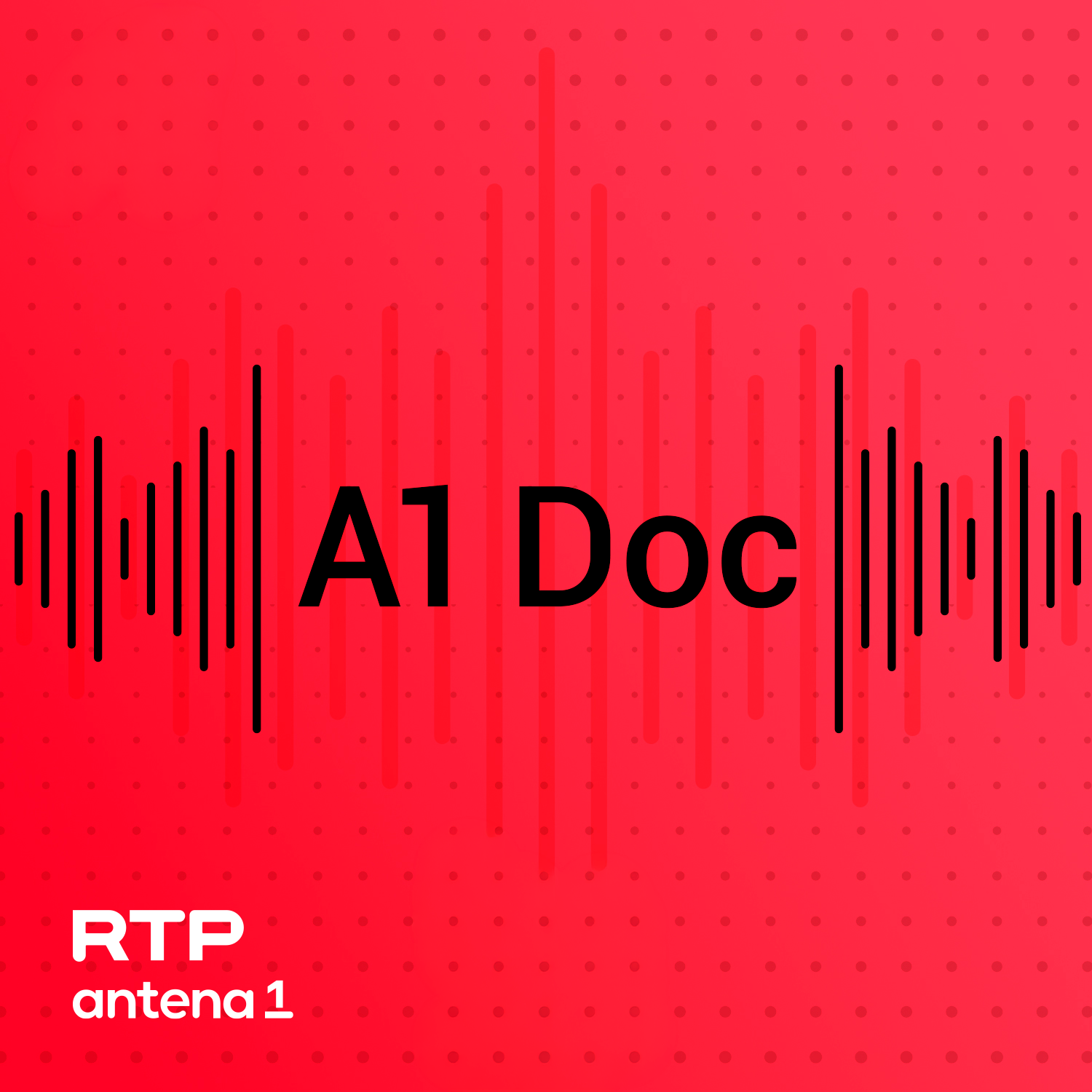 Imagem do Programa / Episiódio - A1 Doc