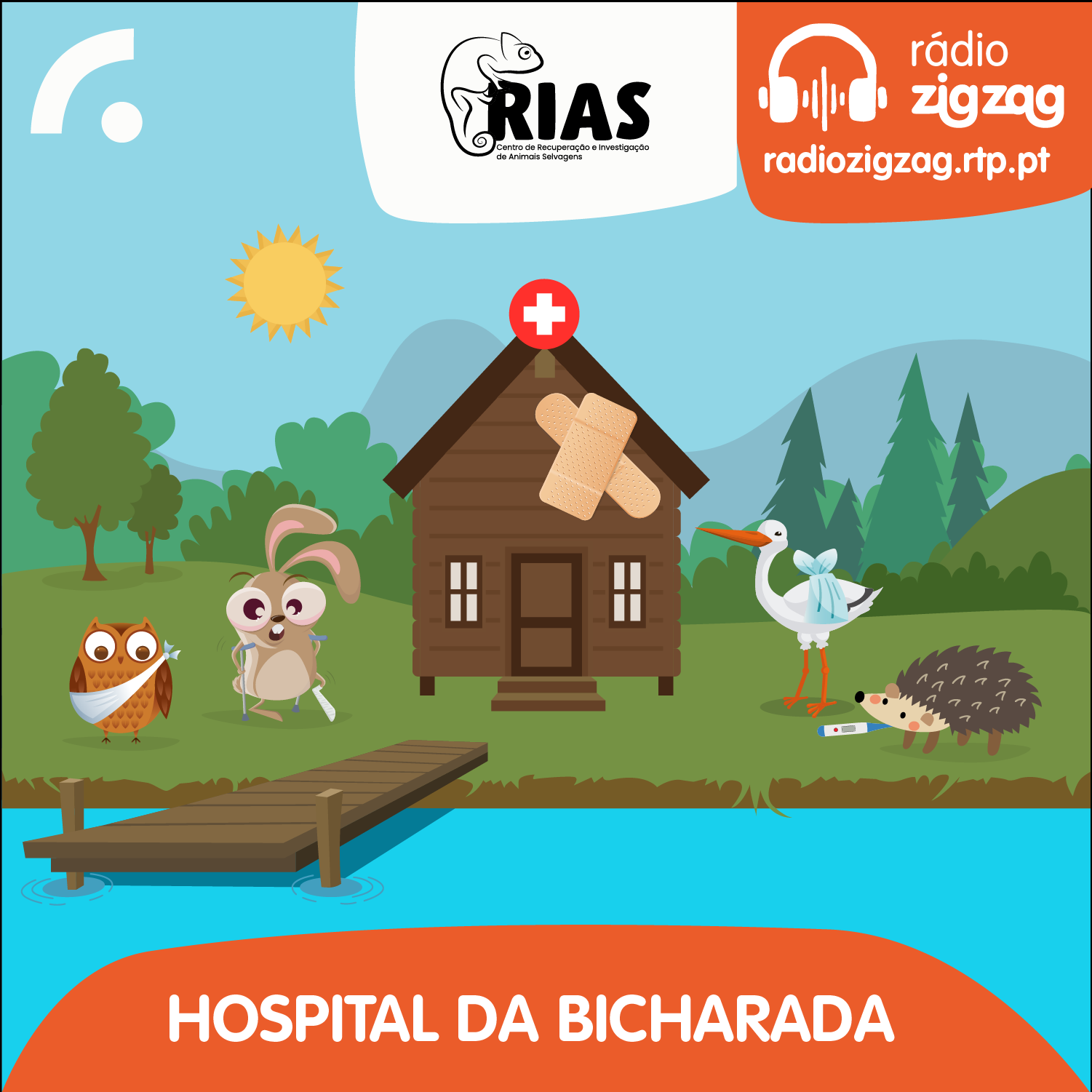 Imagem de Hospital da Bicharada