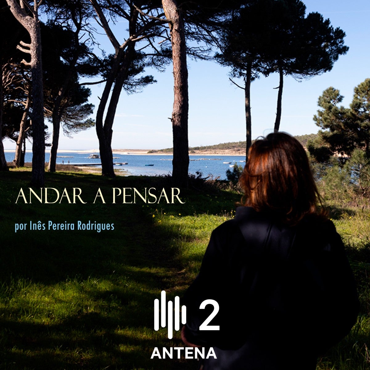 Imagem de Andar a Pensar