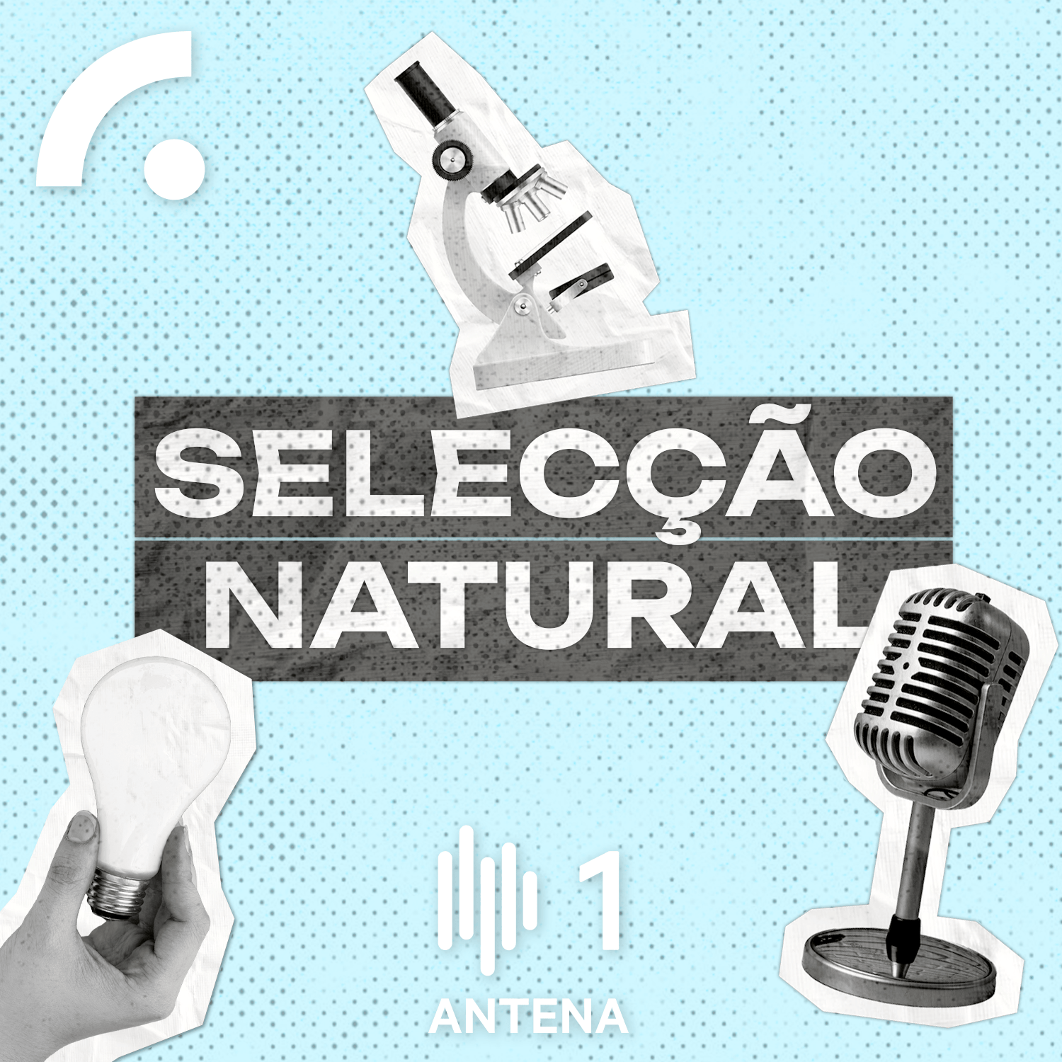 Imagem de Selecção Natural