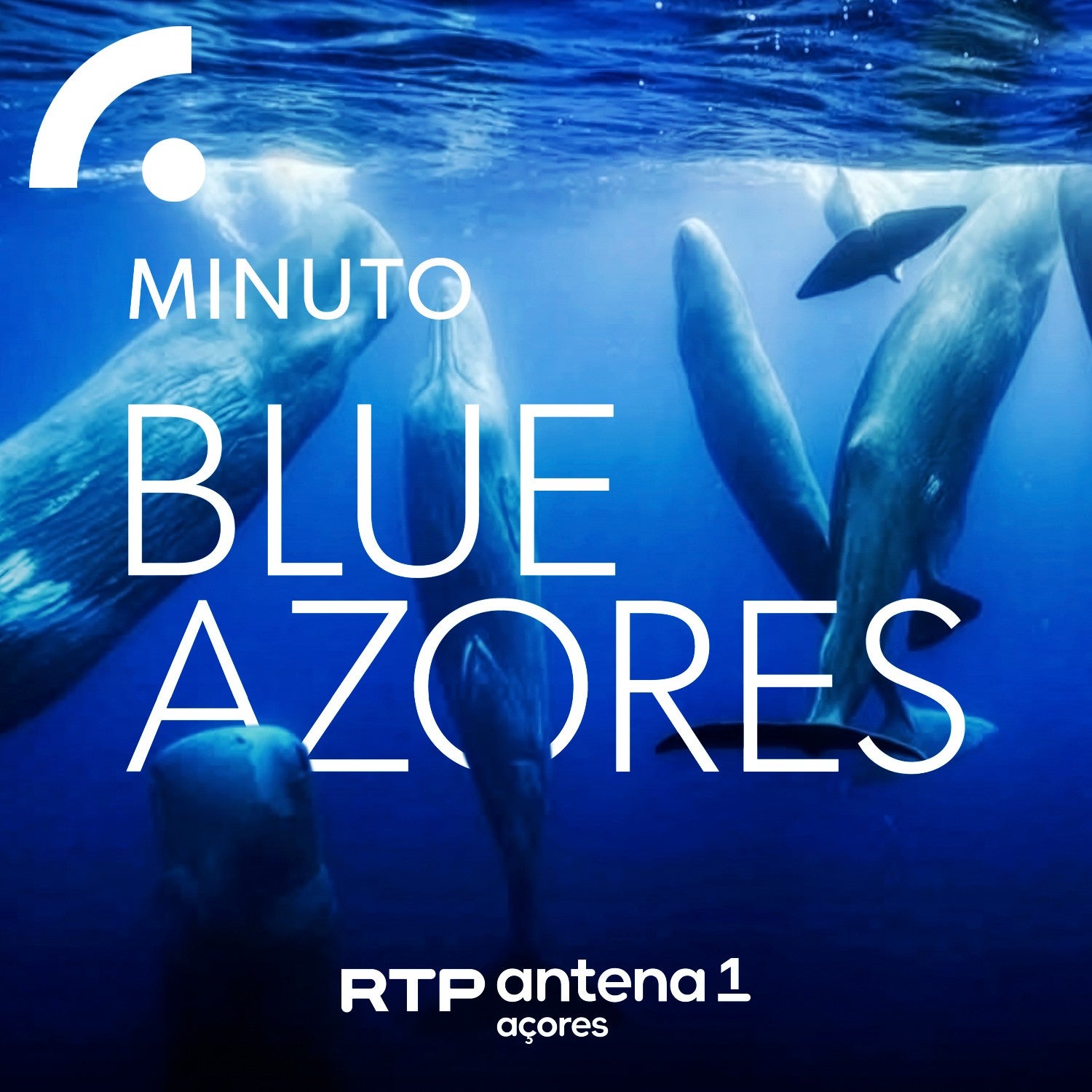 Imagem de Minuto Blue Azores