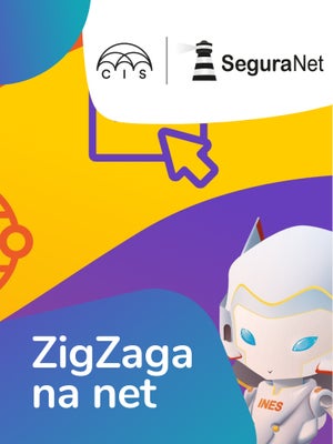ZigZaga na Net
