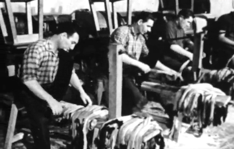 A Criação de Visons