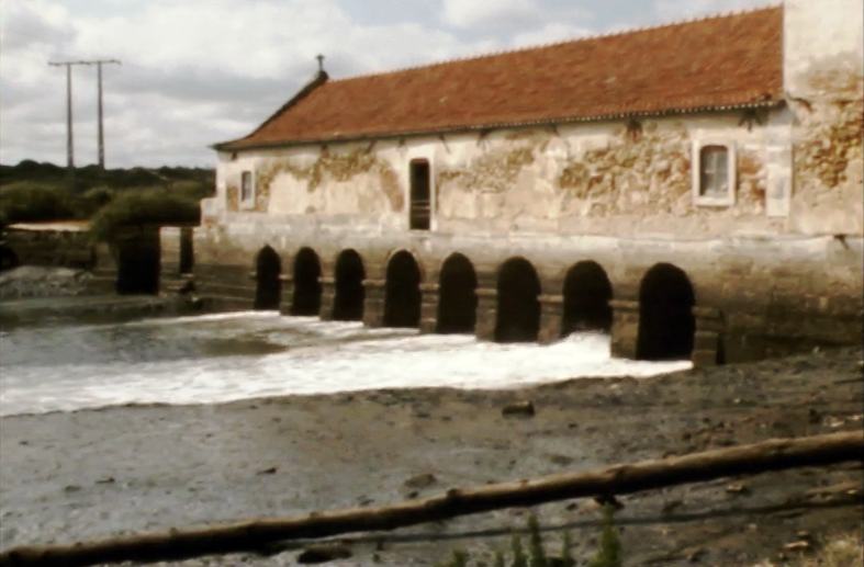 À Espera de Marés-Vivas