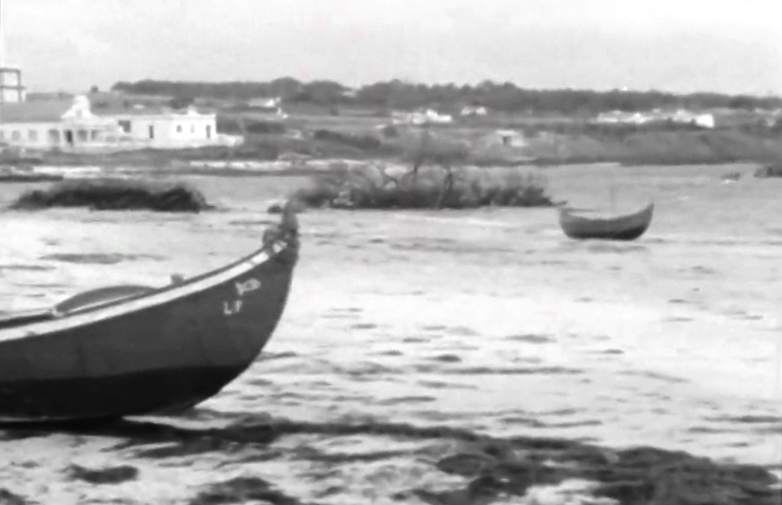 A Lagoa de Santo André