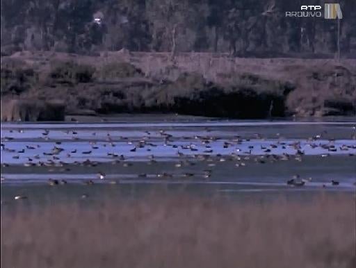 O Cavalo de Troia: Novas Provas - Documentários - RTP