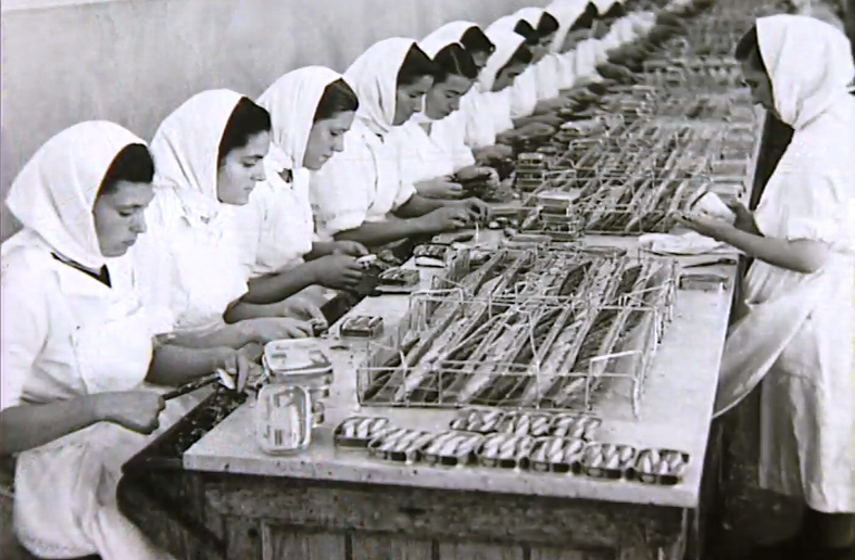 A Sedução Algarvia