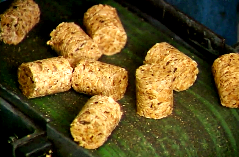 As Árvores da Cortiça