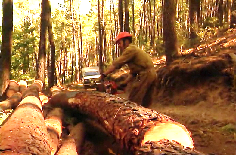 As Indústrias do Pinho