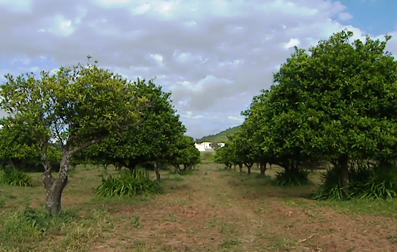 Caldeirão, o Outro Algarve