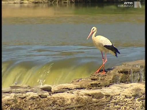 Construção da Barragem do Alqueva