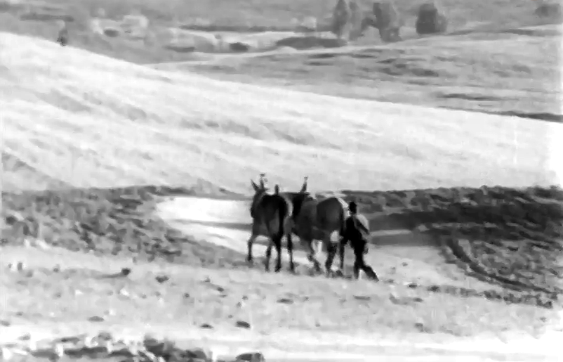 Distrito de Beja: um Povo Que Se Levanta